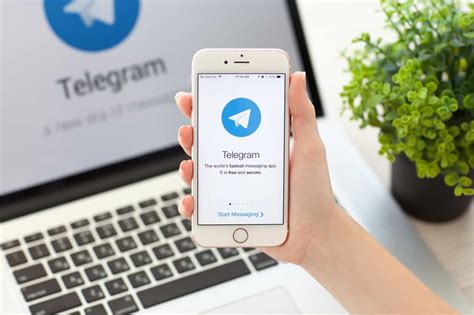 telegram dalaga|Telegram (software) .